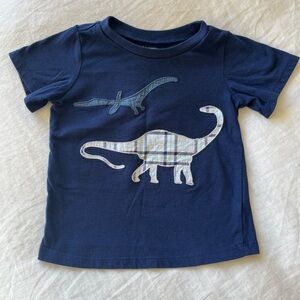 EUC Dino Shirt, 24m